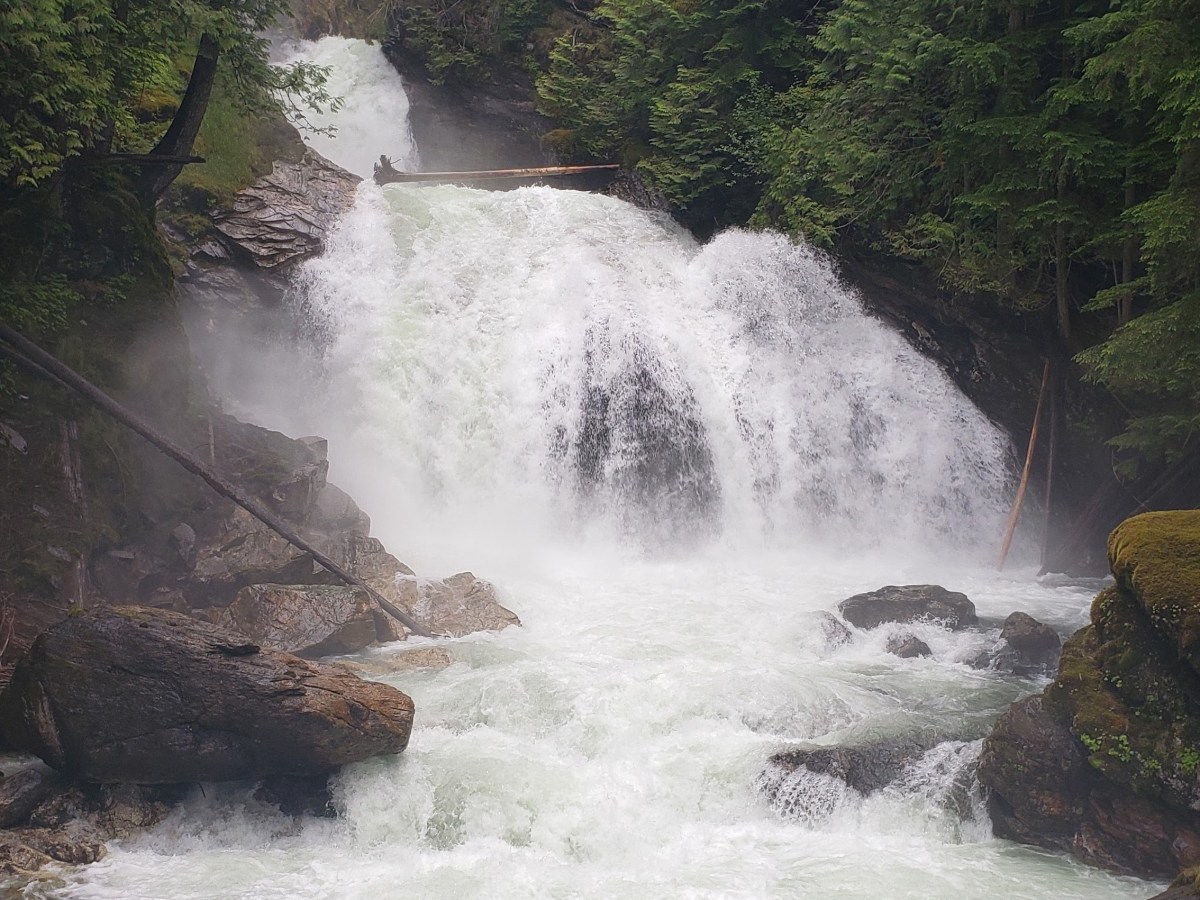 Let’s Go Crazy (Crazy&nbsp;Creek)